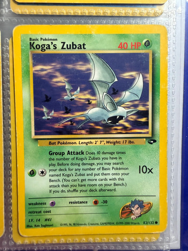 Koga zubat 132 - 83/132, gym