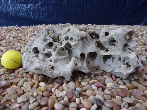 Texas holey rock - 06#, texas/tn