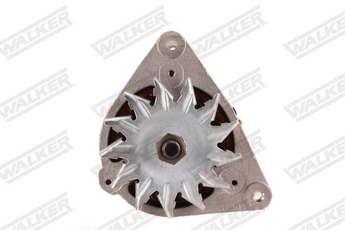 Generatore alternatore walker - generatore,