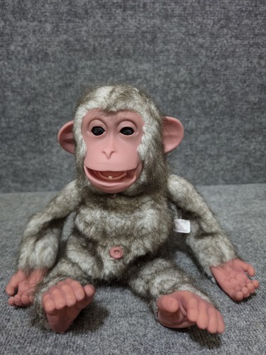 Peluche scimmia delle - , nevi