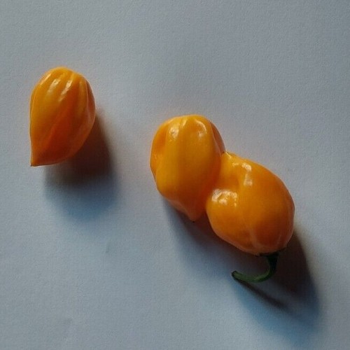 Habanero yellow giallo - yellow,