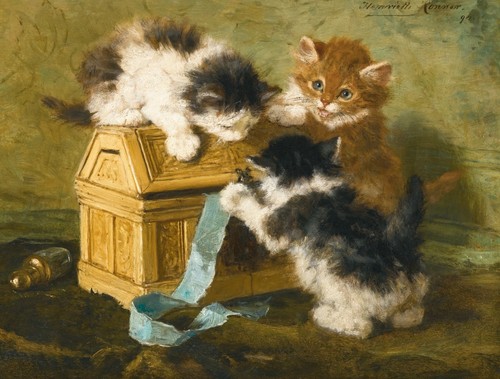Henriette ronner knip - henriette, cat