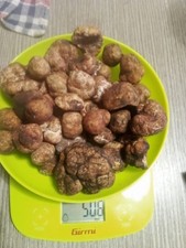 100 GR TARTUFO BIANCHETTO