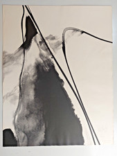 Paul Jenkins litografia