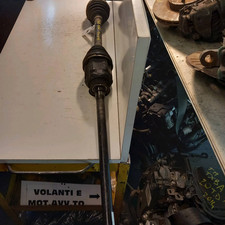 albero di trasmissione