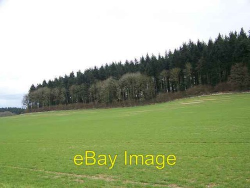 Photo 6x4 rockstead - photo, copse