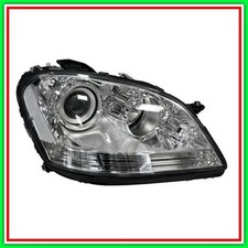 Proiettore Destro H7-H7
