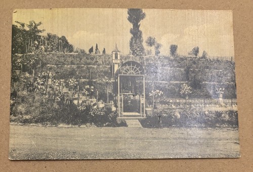 Bologna pieve del pino - ,