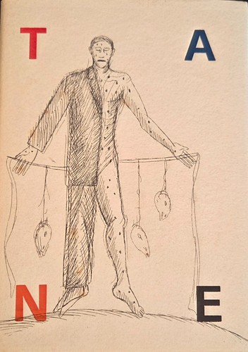 Libro artista tane mimmo - libro,