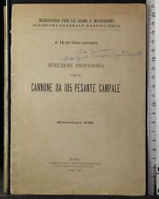 ISTRUZIONE PROVVISORIA CANNONE