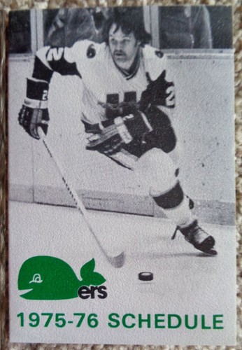 Raro 1975 hartford whalers - raro,