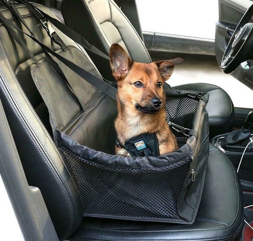 Seggiolino auto per - auto, cani