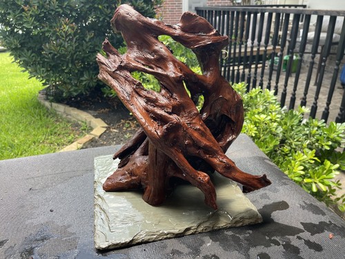 Driftwood acquari malesi pesci - acquari,