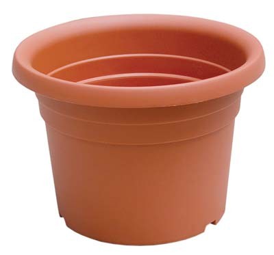 Vaso cilindrico dahlia ics pp - vaso,