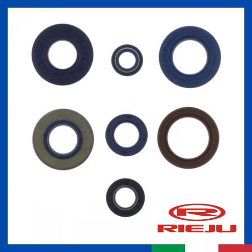 Kit paraolio revisione motore