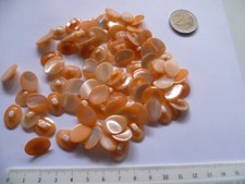 LOTTO 80 BOTTONI OVALE VERA