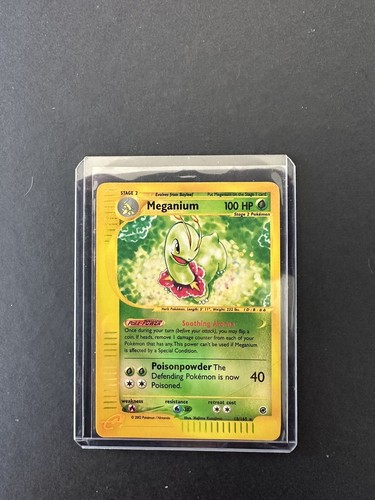 Pokemon meganium expedition - pokemon,