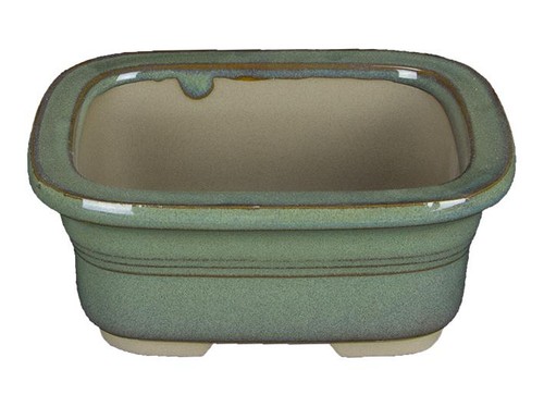 Vaso per bonsai giapponese - vaso,