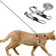 Pettorina per Gatti E Conigli