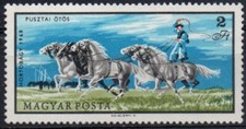 GERMANIA DDR 1968 ALLEVAMENTO