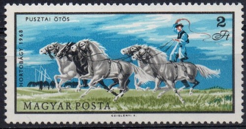 Germania ddr 1968 allevamento - ddr,