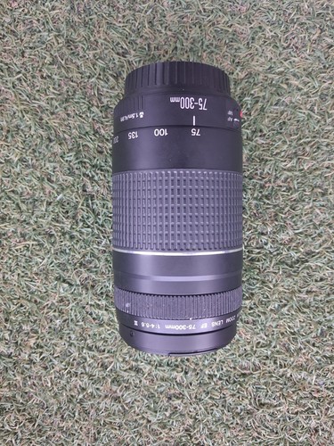 Canon 300mm 4 5 6 - ef, 75-300mm