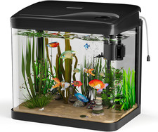 Acquario in Vetro Acquario