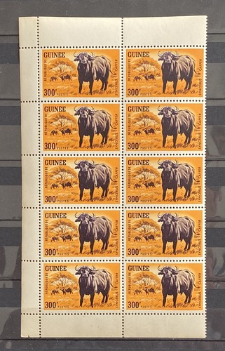 Guinea 1964 bufalo foresta