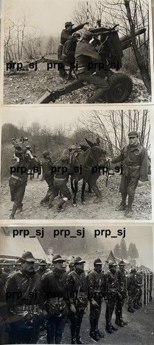 Fotografie alpini sciatori - fotografie,