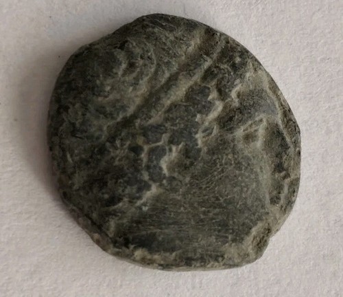 Antica moneta greca bronzo - greca, in