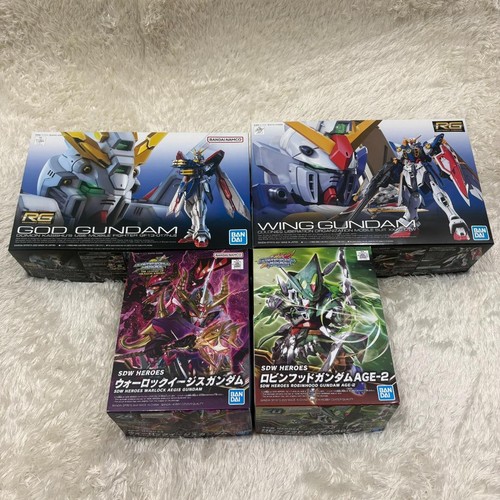 Modellino god gundam wing - modellino, rg