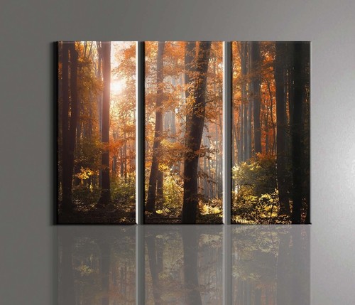 Alberi bosco quadro - quadro, moderno