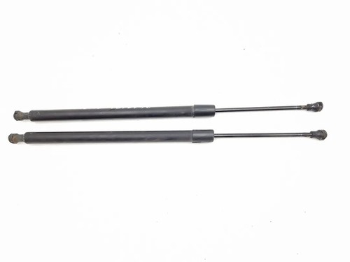 8200219322 pistoncini - 8200219322,