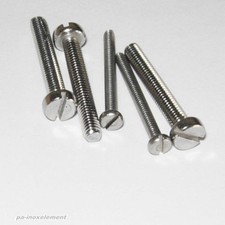 Viti cilindriche con fessura