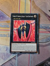 Yu-Gi-Oh! Numero 69: Cimiero