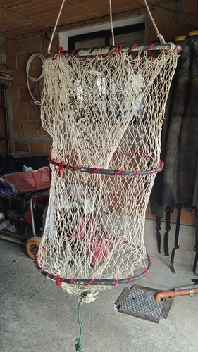 Nasse professionali - 10,