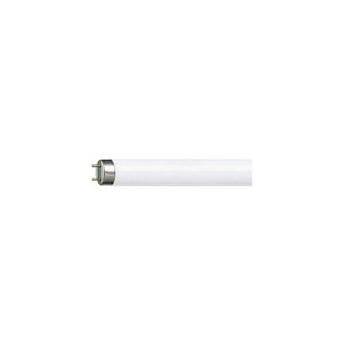 Tubo neon fluorescente - tubo,