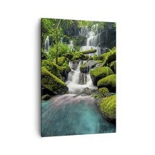 Quadro su Tela 50x70cm parco