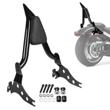 Rear Detachable Backrest Sissy