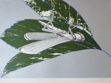 Aldo Turchiaro Litografia