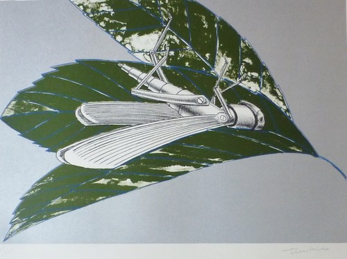Aldo turchiaro litografia - aldo,