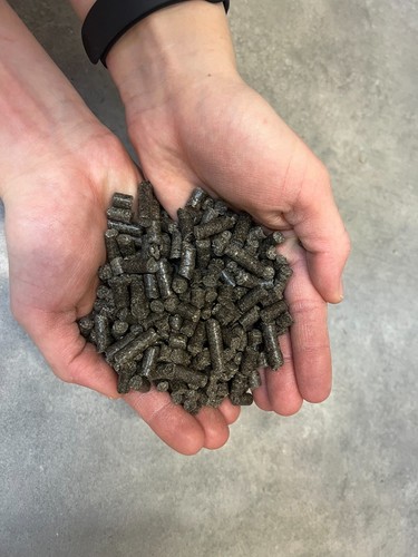 Pellet 6mm sacco - , 15