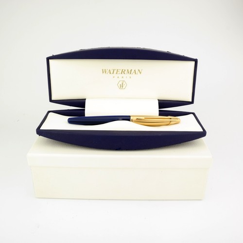 Penna stilografica waterman - stilografica,