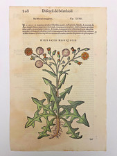 MATTIOLI Xilografia 1500