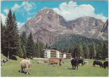 S. MARTINO DI CASTROZZA - TRENTO - "PRA' DELLE NASSE" - VIAGG. 1973 -13174-