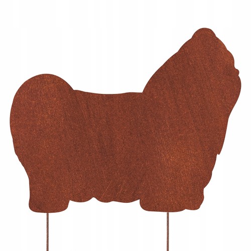 Shih tzu cane - shih, figura