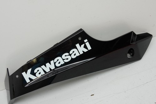 Kawasaki ninja 400 ex400g - 400,
