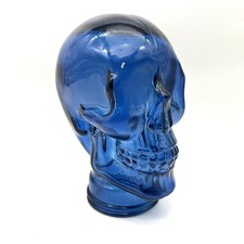 Scultura Testa Teschio Vetro