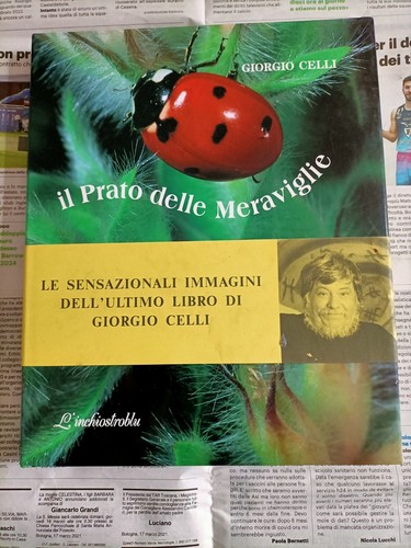 Giorgio celli prato delle - giorgio, il