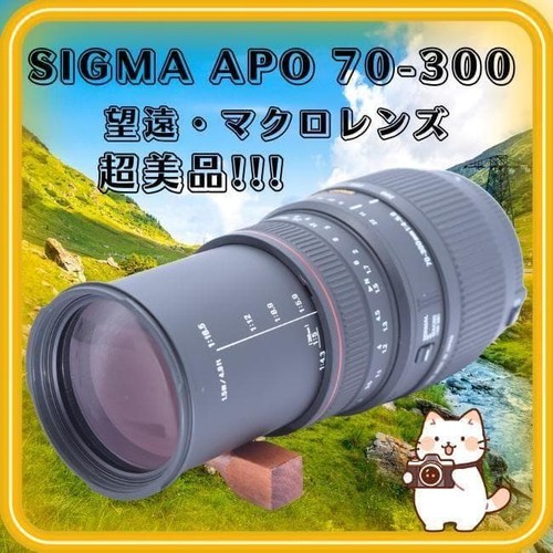 Sigma apo 300mm - 70,